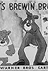 Primary photo for What's Brewin', Bruin? Primary photo for What's Brewin', Bruin?