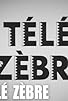 Primary photo for Télé-Zèbre