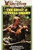 Primary photo for The Ghost of Cypress Swamp