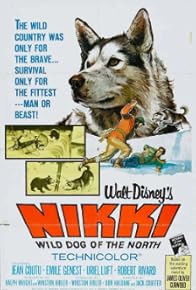 Primary photo for Nikki, Wild Dog of the North: Part 1 Primary photo for Nikki, Wild Dog of the North: Part 1