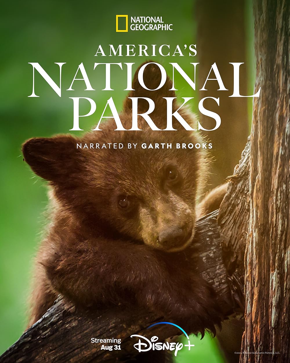 その他 Wonders of America&#39;s National Parks [DVD] Amazon.com: Wonders of the National Parks: A Geology of