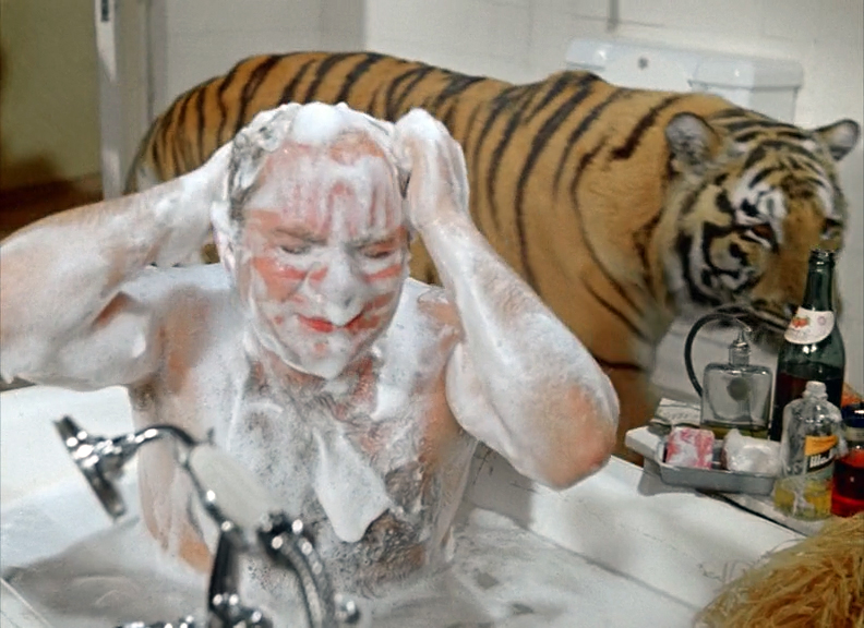 Plyaj porno yaqin planda Seriyadagi ayollarning porno fotosuratlari