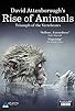Primary photo for Rise of Animals: Triumph of the Vertebrates Primary photo for Rise of Animals: Triumph of the Vertebrates