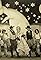 Showgirl's Luck's primary photo