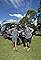 All 4 Adventure's primary photo