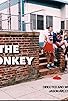 Primary photo for The Monkey