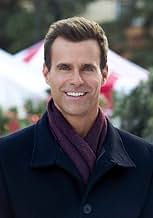 पोस्टर देखें