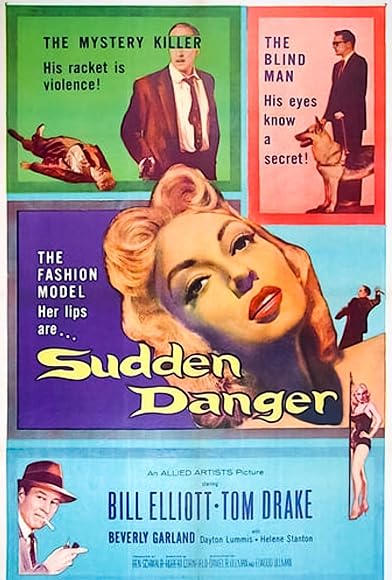Primary photo for Sudden Danger Primary photo for Sudden Danger