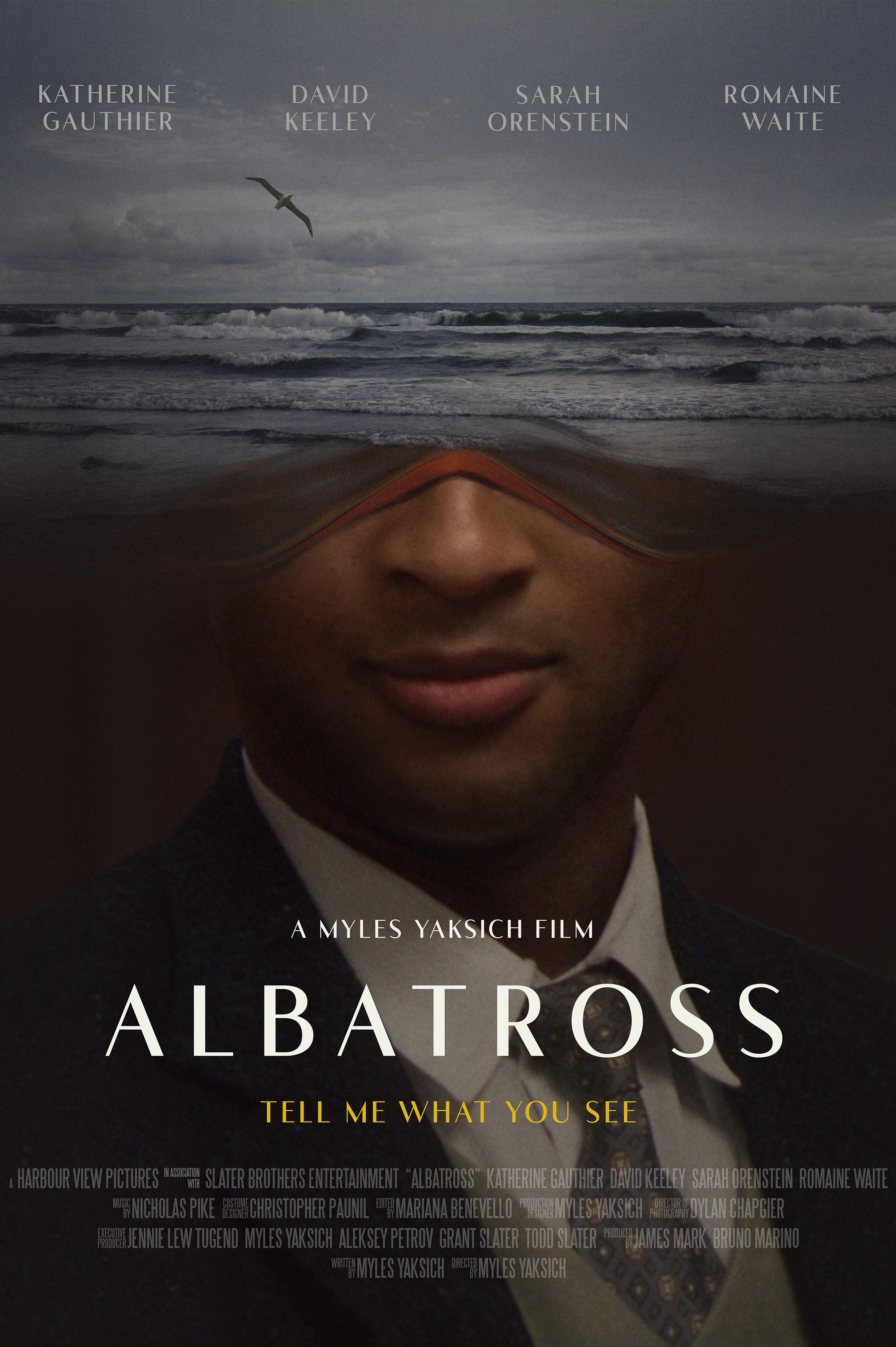 Poster of Albatross (2022)