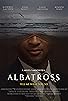 Primary photo for Albatross Primary photo for Albatross