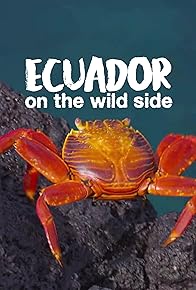 Primary photo for Ecuador: On the Wild Side