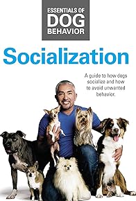 Primary photo for Cesar Millan's Socialization