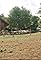 Home's primary photo