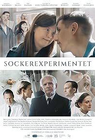 Primary photo for The Sugar Experiment