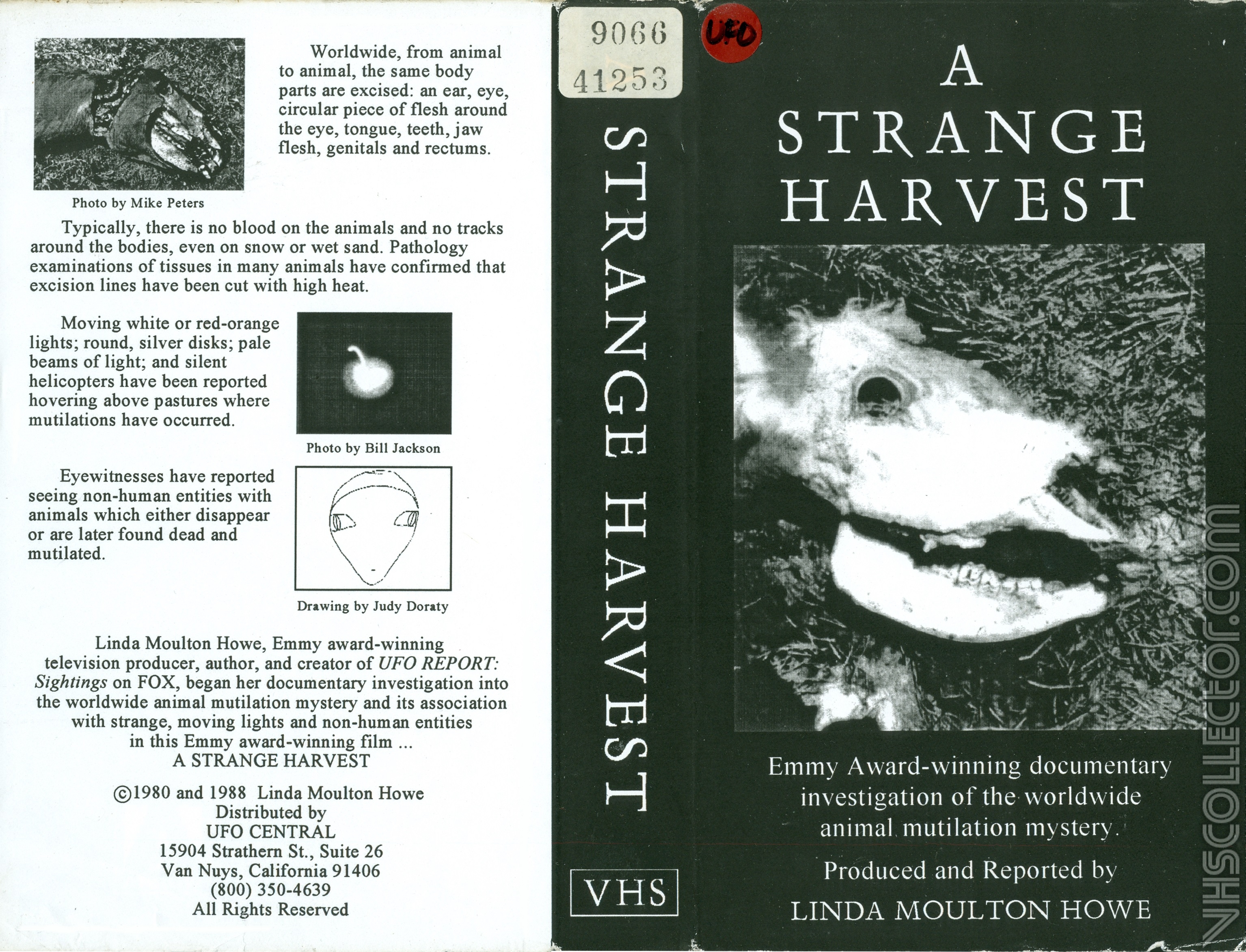 A Strange Harvest (TV Movie 1980) - IMDb