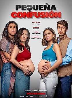 Poster of Una Pequeña Confusion