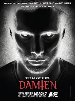 Poster of Damien