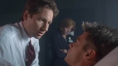 पोस्टर देखें