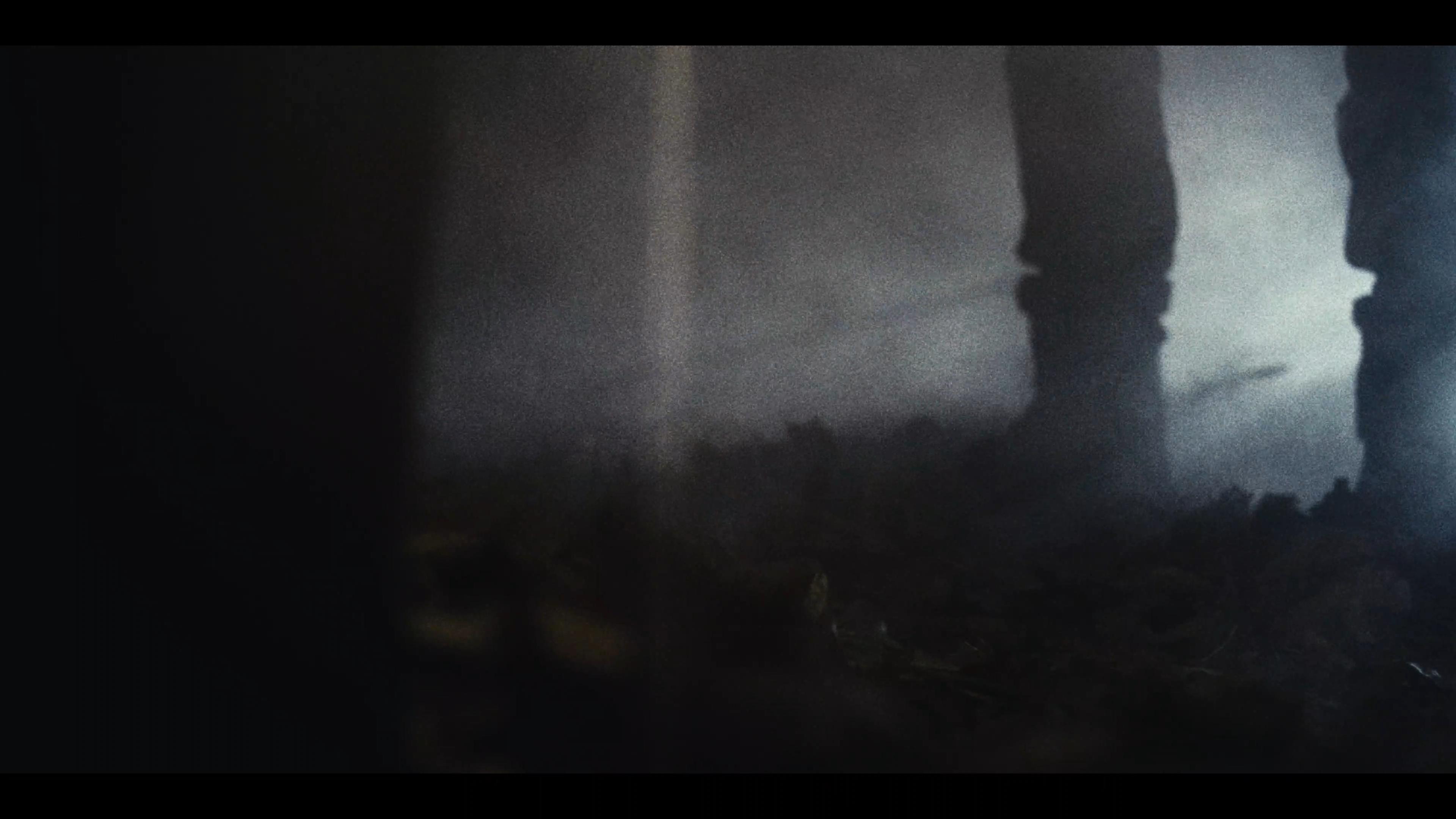 Whistle to the Maples