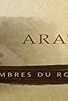 Primary photo for Arataï, les ombres du royaume Primary photo for Arataï, les ombres du royaume