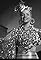 Carmen Miranda's primary photo