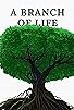 Primary photo for A Branch of Life Primary photo for A Branch of Life