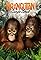 Orangutan Jungle School's primary photo