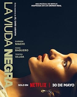 Poster of La viuda negra