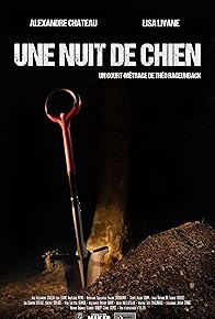 Primary photo for Une nuit de chien