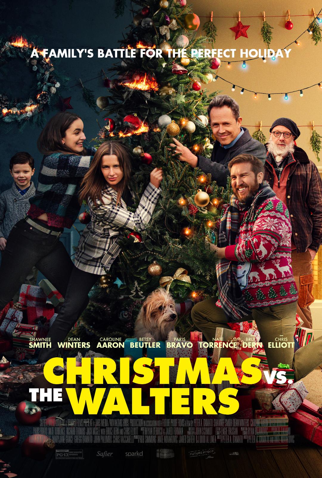 Poster of Christmas vs. The Walters