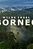 Primary photo for Wilde Insel Borneo Primary photo for Wilde Insel Borneo