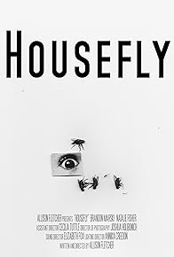 Primary photo for Housefly