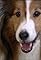 Ruby and Rana's primary photo