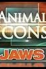 Primary photo for Animal Icons Primary photo for Animal Icons