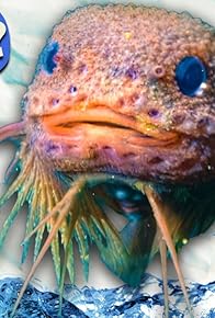 Primary photo for Look At This LITTLE FREAK