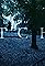 The Watcher's primary photo