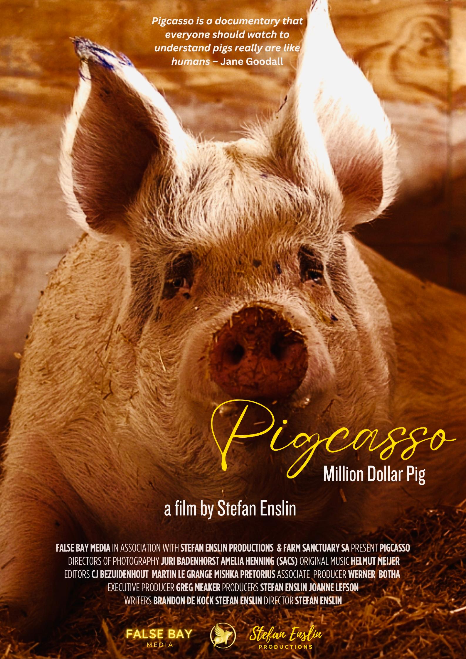 Pigcasso: Million Dollar Pig