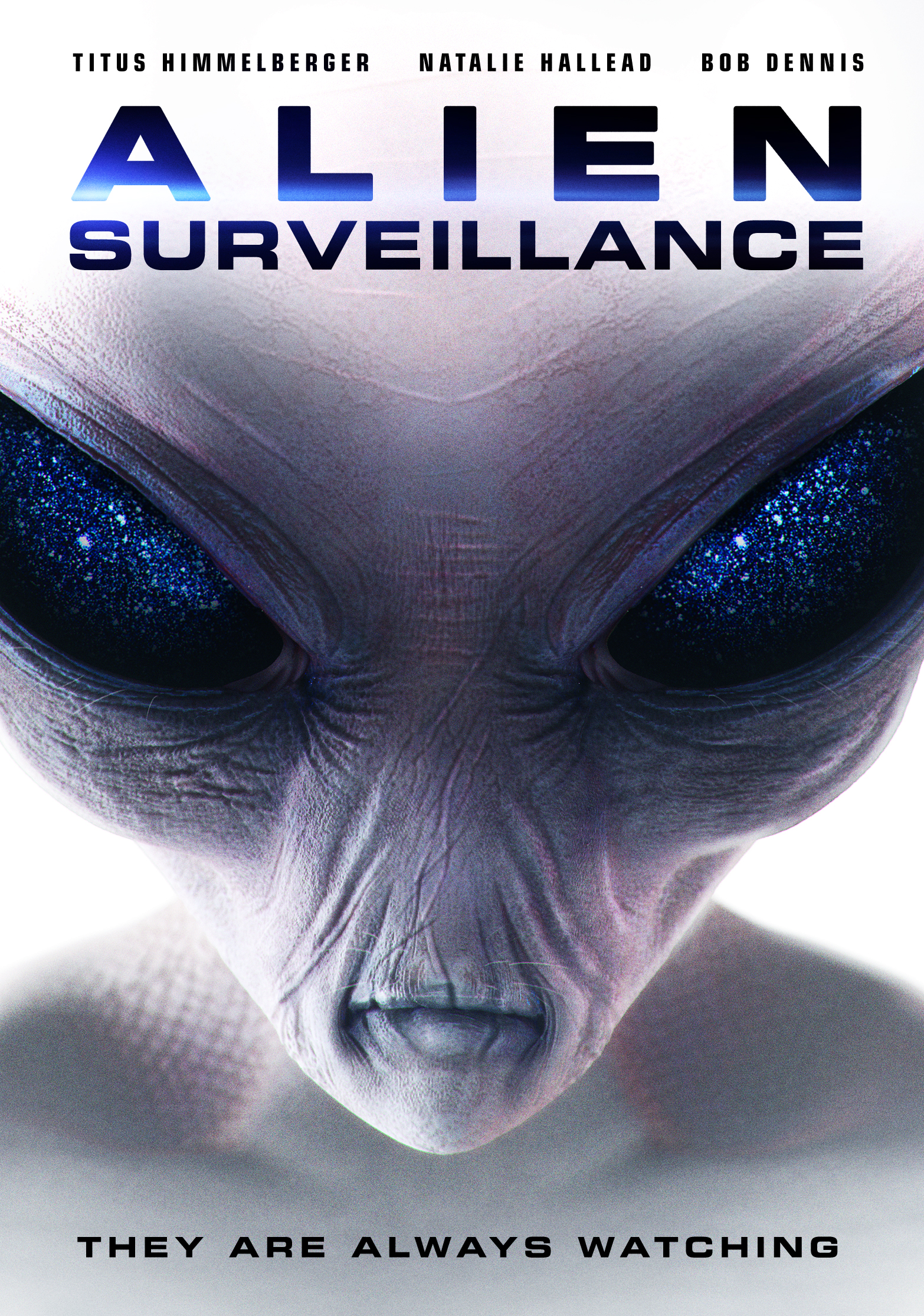 Poster of Alien Surveillance