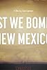 Primary photo for First We Bombed New Mexico