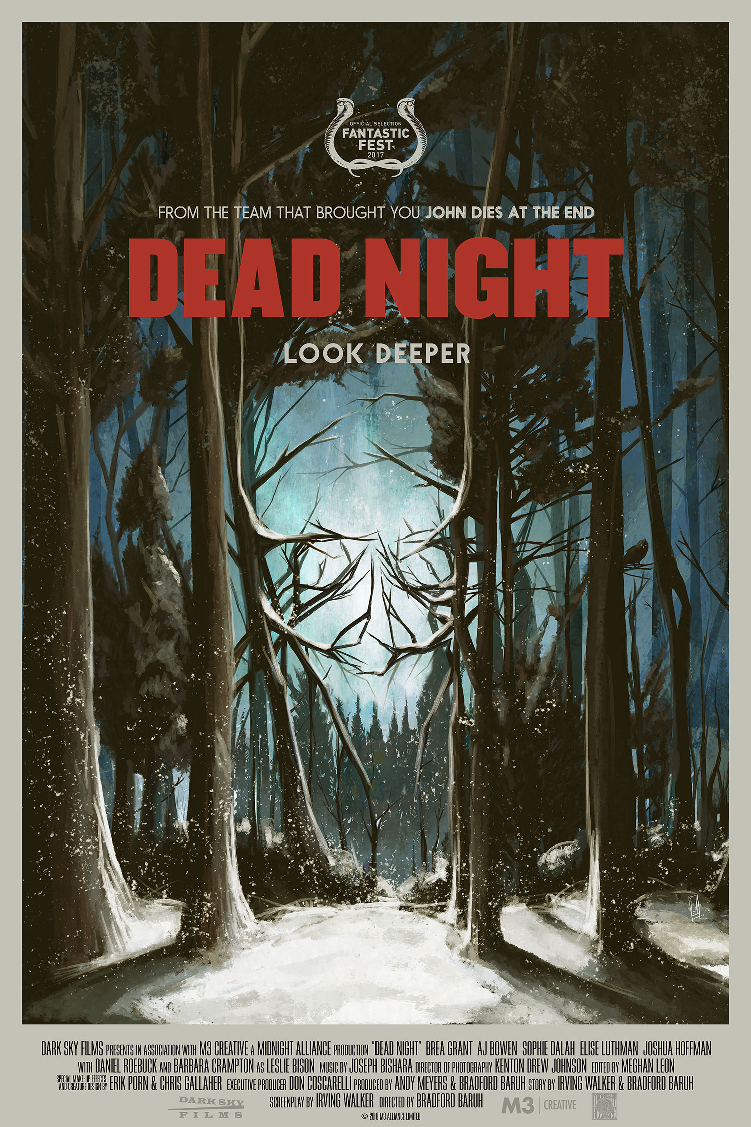Poster of Dead Night