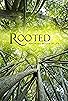 Primary photo for Rooted
