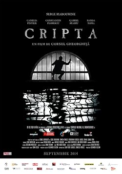 Poster of Domnul de la curte