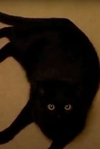 Primary photo for Monster Cat
