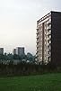 Primary photo for Trapper: Made in Brum
