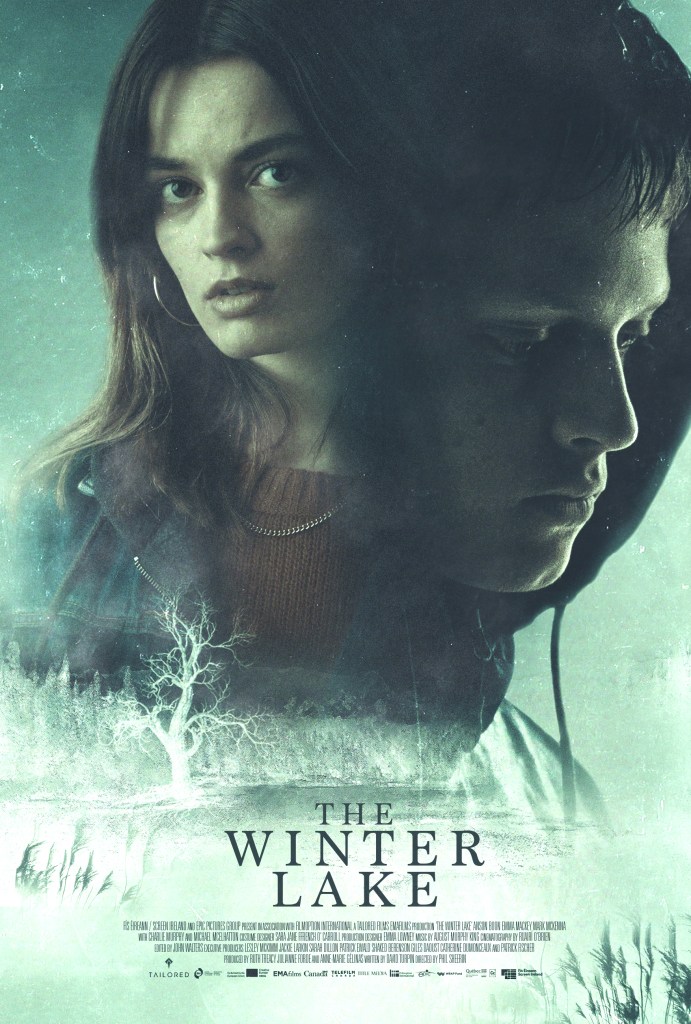 Poster of The Winter Lake