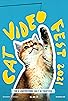 Primary photo for CatVideoFest 2021 Primary photo for CatVideoFest 2021