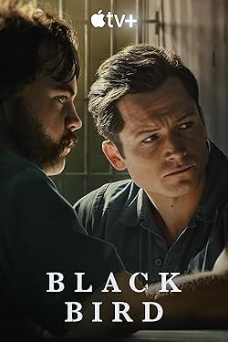 Poster of Black Bird