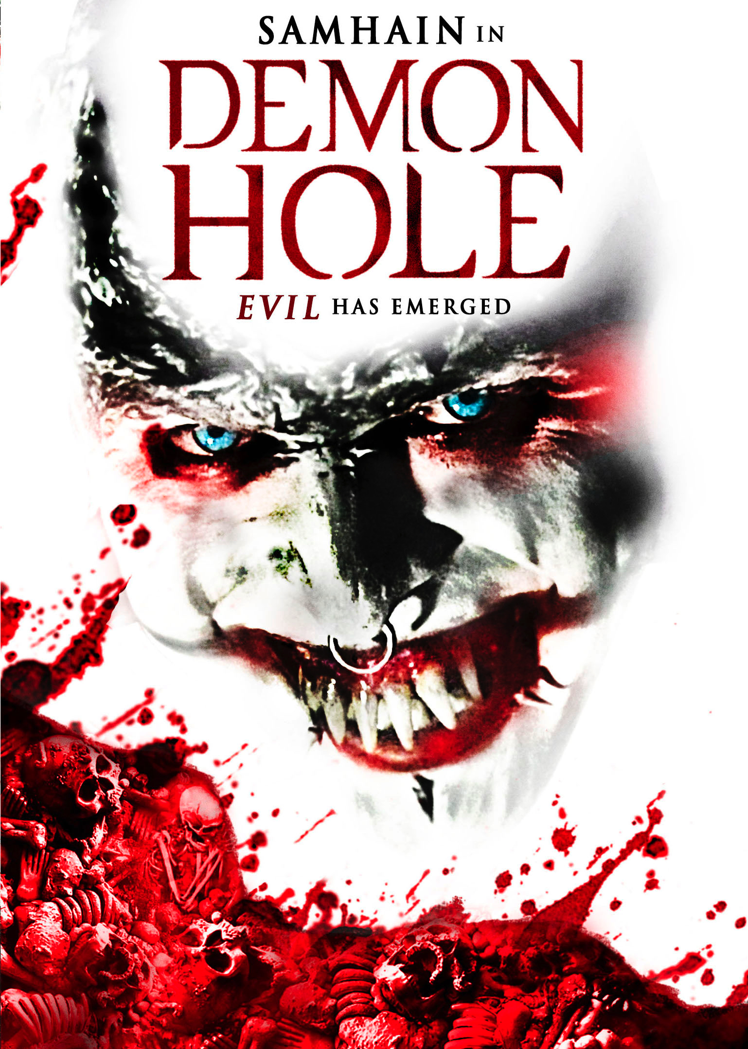 Poster of Demon Hole