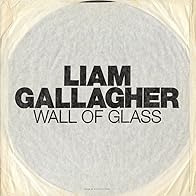Primary photo for Liam Gallagher: Wall of Glass