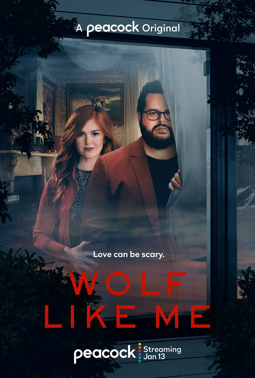 Poster of Wolf Like Me
